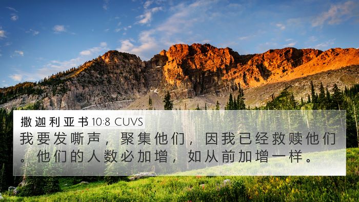撒 迦 利 亚 书 10:8 CUVS Bible Verse Image