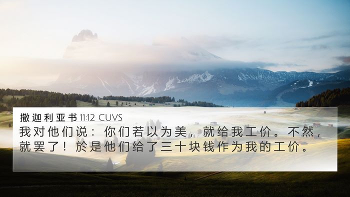撒 迦 利 亚 书 11:12 CUVS Bible Verse Image