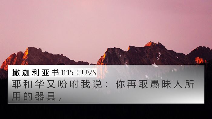 撒 迦 利 亚 书 11:15 CUVS Bible Verse Image