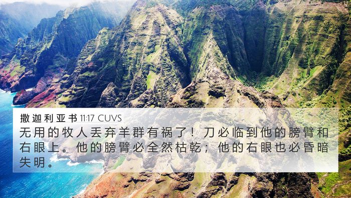 撒 迦 利 亚 书 11:17 CUVS Bible Verse Image