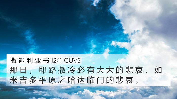 撒 迦 利 亚 书 12:11 CUVS Bible Verse Image