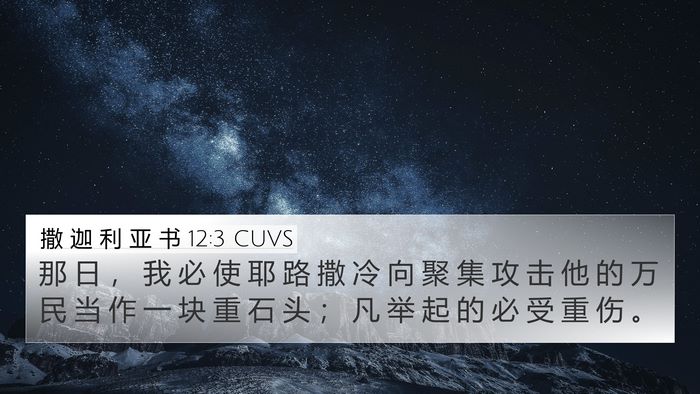 撒 迦 利 亚 书 12:3 CUVS Bible Verse Image