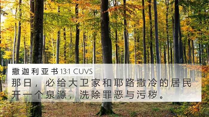 撒 迦 利 亚 书 13:1 CUVS Bible Verse Image