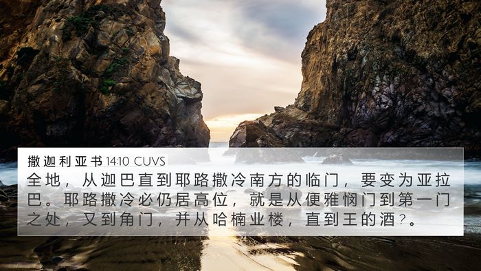 撒 迦 利 亚 书 14:10 CUVS Bible Verse Image
