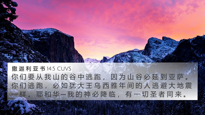 撒 迦 利 亚 书 14:5 CUVS Bible Verse Image