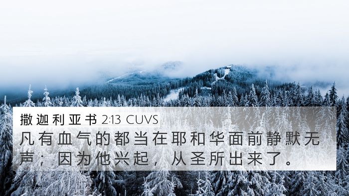 撒 迦 利 亚 书 2:13 CUVS Bible Verse Image