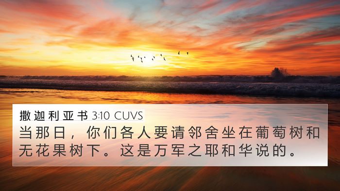 撒 迦 利 亚 书 3:10 CUVS Bible Verse Image