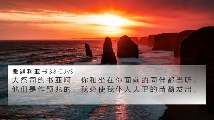 撒 迦 利 亚 书 3:8 CUVS Bible Verse Image