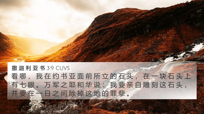撒 迦 利 亚 书 3:9 CUVS Bible Verse Image