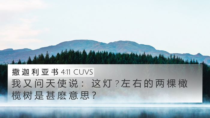 撒 迦 利 亚 书 4:11 CUVS Bible Verse Image
