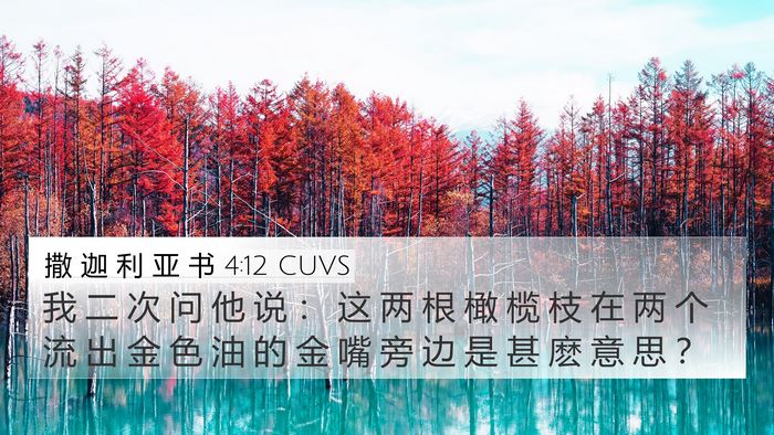 撒 迦 利 亚 书 4:12 CUVS Bible Verse Image