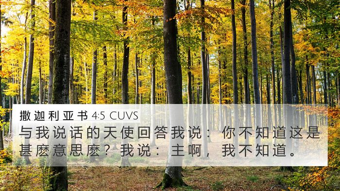 撒 迦 利 亚 书 4:5 CUVS Bible Verse Image