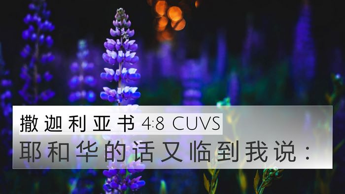 撒 迦 利 亚 书 4:8 CUVS 4K Wallpaper - 耶 和 华 的 话 又 临 到 我 说 - 4K Wallpaper Bible Verse