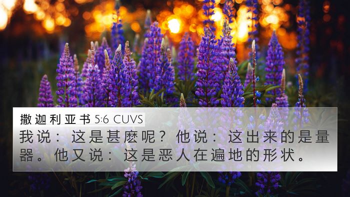 撒 迦 利 亚 书 5:6 CUVS Bible Verse Image