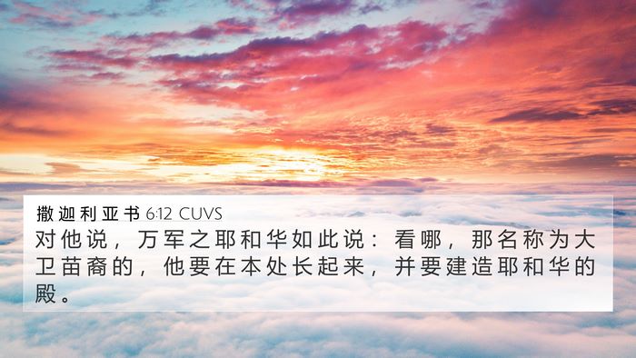 撒 迦 利 亚 书 6:12 CUVS Bible Verse Image