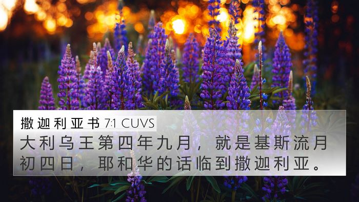 撒 迦 利 亚 书 7:1 CUVS Bible Verse Image