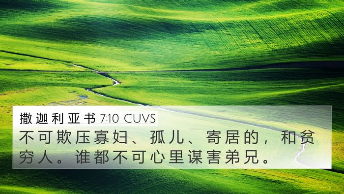 撒 迦 利 亚 书 7:10 CUVS Bible Verse Image