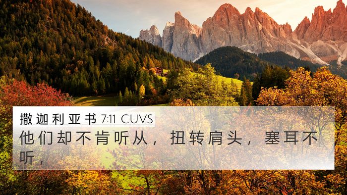 撒 迦 利 亚 书 7:11 CUVS Bible Verse Image