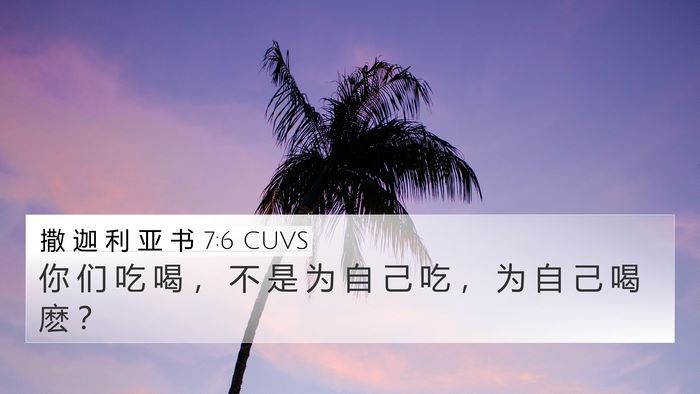 撒 迦 利 亚 书 7:6 CUVS Bible Verse Image