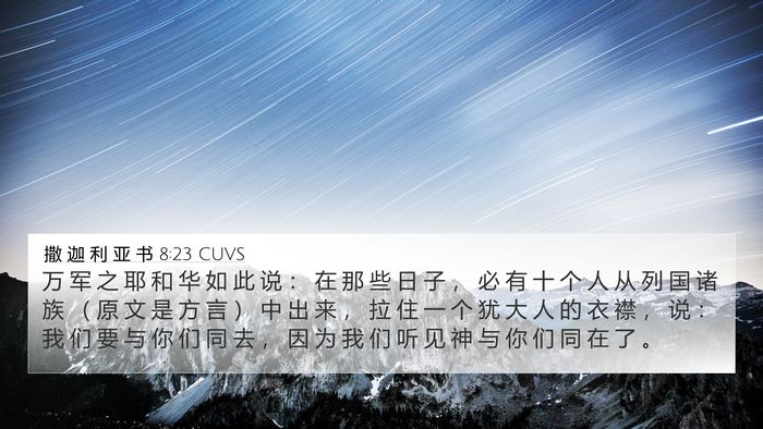 撒 迦 利 亚 书 8:23 CUVS Bible Verse Image