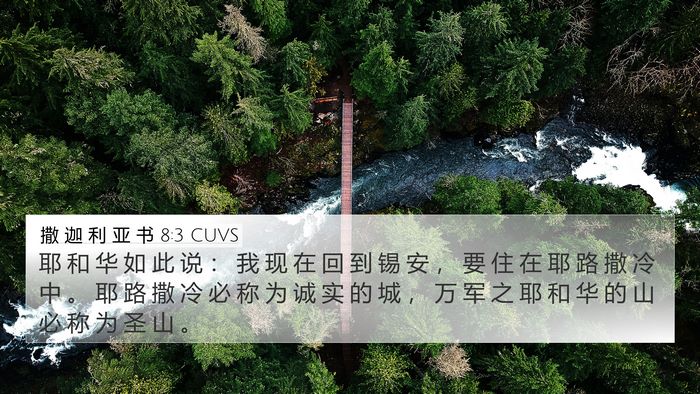撒 迦 利 亚 书 8:3 CUVS Bible Verse Image
