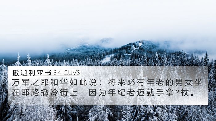 撒 迦 利 亚 书 8:4 CUVS Bible Verse Image