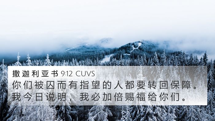 撒 迦 利 亚 书 9:12 CUVS Bible Verse Image