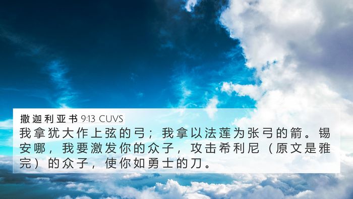 撒 迦 利 亚 书 9:13 CUVS Bible Verse Image