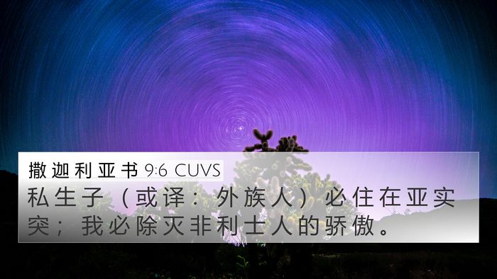 撒 迦 利 亚 书 9:6 CUVS Bible Verse Image