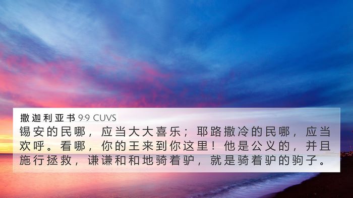 撒 迦 利 亚 书 9:9 CUVS Bible Verse Image