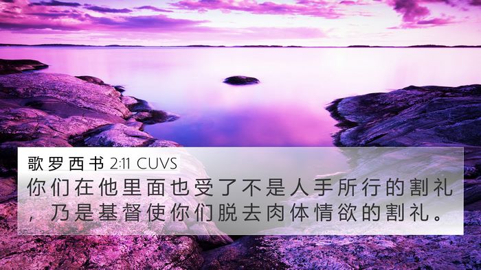 歌 罗 西 书 2:11 CUVS Bible Verse Image