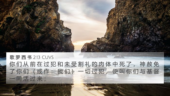 歌 罗 西 书 2:13 CUVS Bible Verse Image