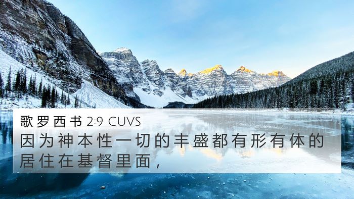 歌 罗 西 书 2:9 CUVS Bible Verse Image