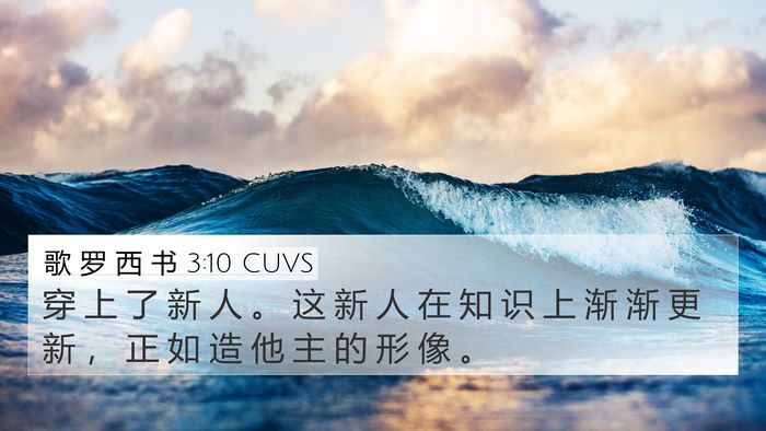 歌 罗 西 书 3:10 CUVS Bible Verse Image