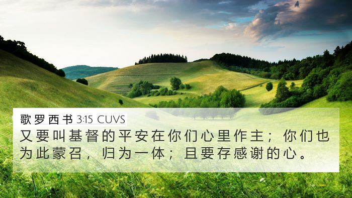 歌 罗 西 书 3:15 CUVS Bible Verse Image