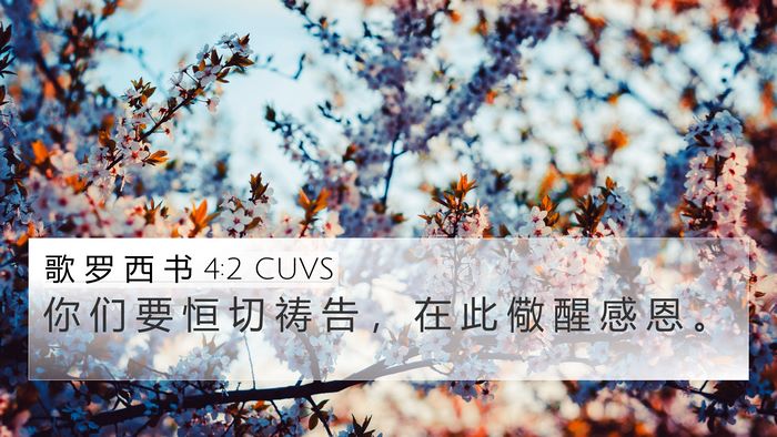 歌 罗 西 书 4:2 CUVS Bible Verse Image