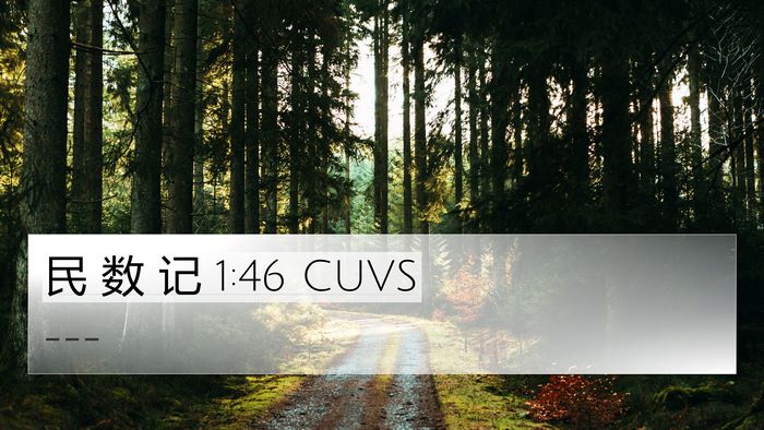 民 数 记 1:46 CUVS Bible Verse Image