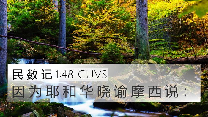 民 数 记 1:48 CUVS 4K Wallpaper - 因 为 耶 和 华 晓 谕 摩 西 说 - 4K Wallpaper Bible Verse