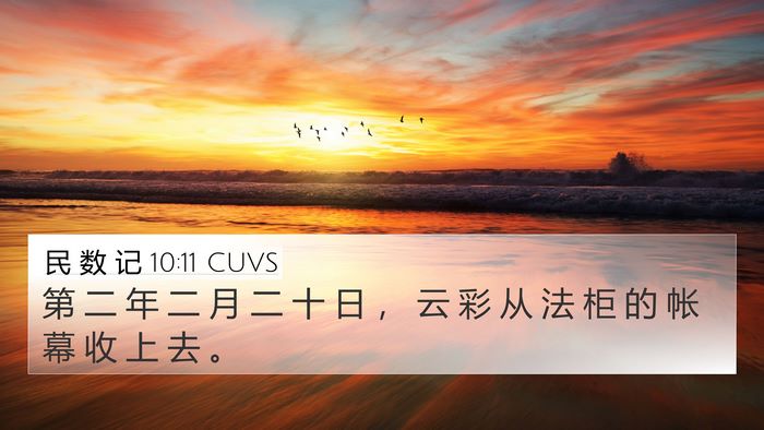 民 数 记 10:11 CUVS Bible Verse Image