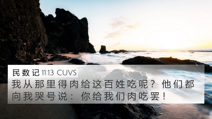 民 数 记 11:13 CUVS Bible Verse Image
