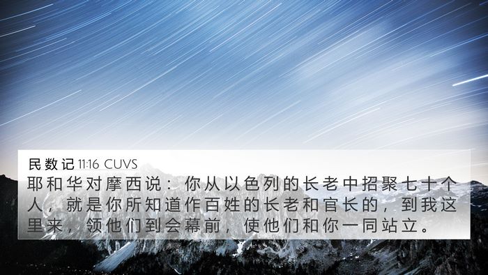 民 数 记 11:16 CUVS Bible Verse Image