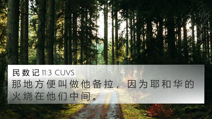 民 数 记 11:3 CUVS 4K Wallpaper - 那 地 方 便 叫 做 他 备 拉 ， 因 为 - 4K Wallpaper Bible Verse