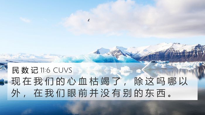 民 数 记 11:6 CUVS Bible Verse Image