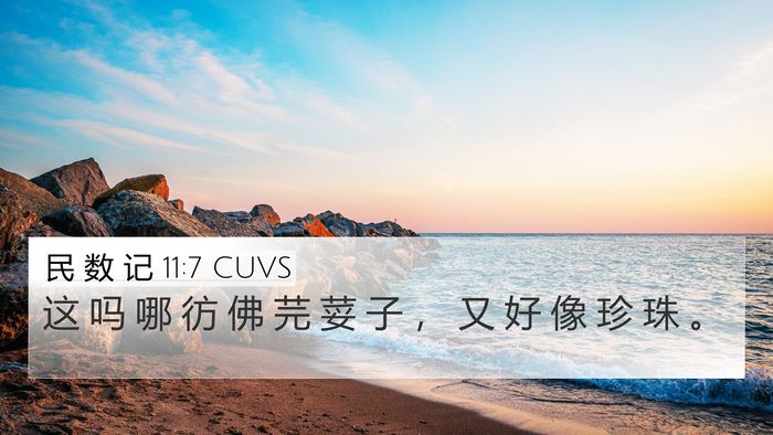 民 数 记 11:7 CUVS 4K Wallpaper - 这 吗 哪 彷 佛 芫 荽 子 ， 又 好 像 - 4K Wallpaper Bible Verse