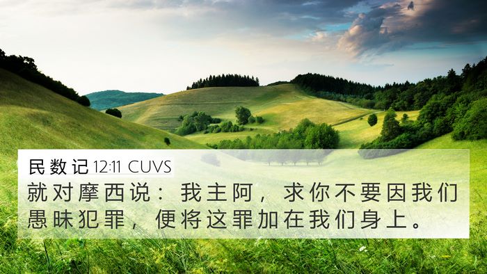 民 数 记 12:11 CUVS 4K Wallpaper - 就 对 摩 西 说 ： 我 主 阿 ， 求 你 - 4K Wallpaper Bible Verse