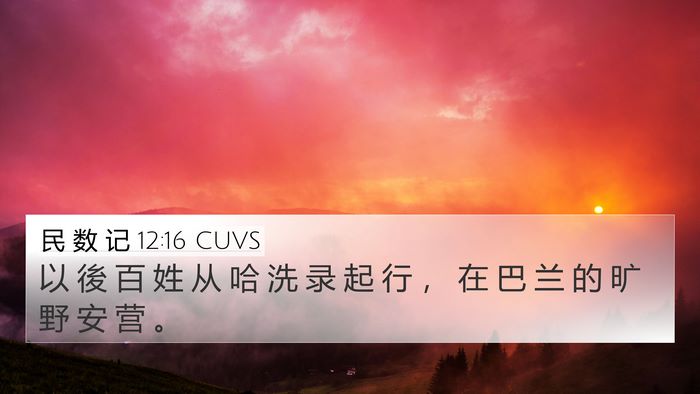 民 数 记 12:16 CUVS Bible Verse Image