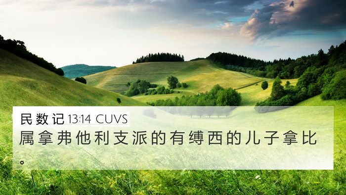 民 数 记 13:14 CUVS 4K Wallpaper - 属 拿 弗 他 利 支 派 的 有 缚 西 的 - 4K Wallpaper Bible Verse