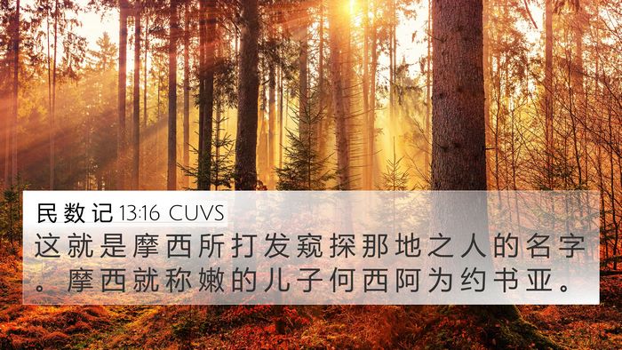 民 数 记 13:16 CUVS Bible Verse Image