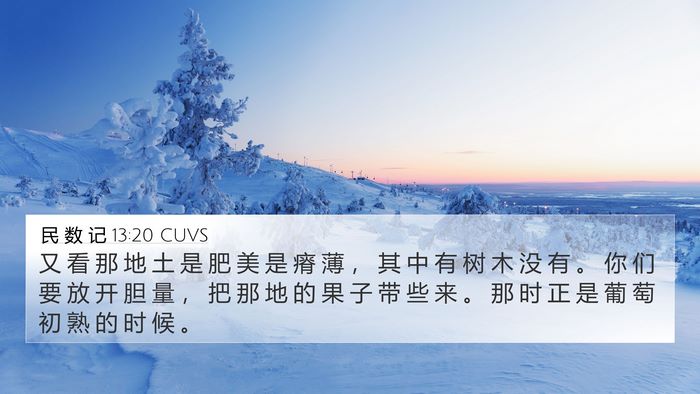 民 数 记 13:20 CUVS 4K Wallpaper - 又 看 那 地 土 是 肥 美 是 瘠 薄 ， - 4K Wallpaper Bible Verse
