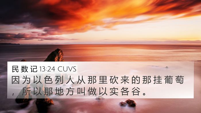 民 数 记 13:24 CUVS 4K Wallpaper - 因 为 以 色 列 人 从 那 里 砍 来 的 - 4K Wallpaper Bible Verse